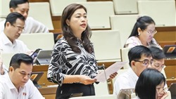 Sáng nay Quốc hội thông qua việc sáp nhập tỉnh thành 