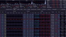 Chứng khoán giảm sâu, cổ phiếu bất động sản “nằm sàn”
