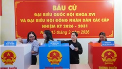  Những điều cử tri cần lưu ý khi tham gia bỏ phiếu 