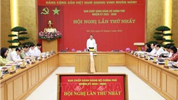  Đảng bộ Chính phủ nâng cao hiệu lực lãnh đạo, đáp ứng yêu cầu nhiệm vụ mới 