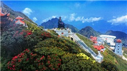 Ngỡ ngàng sắc hồng Anh đào kép phủ kín Fansipan tháng 4 