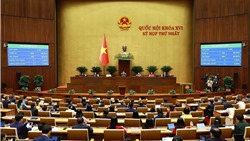 Ngày 8/4, Quốc hội tiếp tục công tác nhân sự, thảo luận các dự thảo luật 