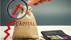 Sức khỏe các quỹ đầu tư tại Việt Nam: Dòng vốn có thể &#39;đảo chiều&#39; khi thị trường