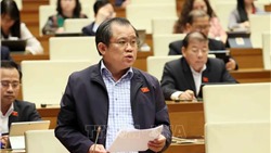 Khai thác và quản lý hiệu quả, có chính sách bảo vệ đất hiếm 