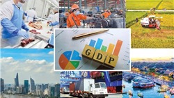  GDP Việt Nam năm 2025 tăng trưởng khá, ước đạt 8,02% 