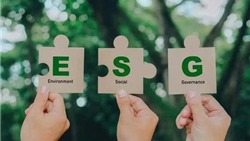 Thúc đẩy thực hành ESG: Nền móng cho thị trường vốn xanh Việt Nam 