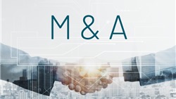  M&A bất động sản 2025: "Bóng" vẫn trong sân khối ngoại? 