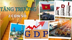  Đổi mới mô hình tăng trưởng: Việt Nam học được gì từ các nền kinh tế đi trước? 