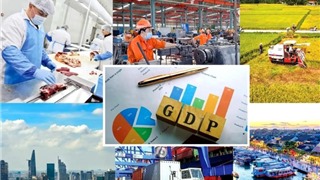 Cục Thống kê: Sáu tháng cuối năm GDP cần tăng 8,42% để đạt mục tiêu cả năm 