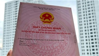 Cấp sổ đỏ lần đầu ở xã trong 3 ngày, không cần xác nhận "đất không tranh chấp" 