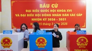  Những điều cử tri cần lưu ý khi tham gia bỏ phiếu 