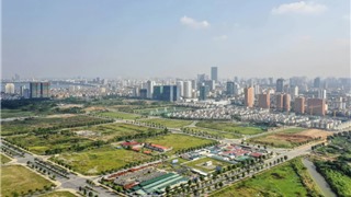 Đấu giá đất nền "sốt" trở lại: Ai đang xuống tiền? 