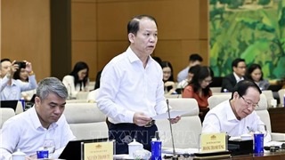 UBTVQH họp phiên 4: Đề xuất quy định mới chặn "cò đấu giá, giá ảo"