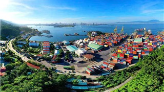 Chuẩn hóa quy mô 1.000ha và loạt điều kiện thành lập khu thương mại tự do 