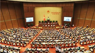 Quốc hội làm việc, thảo luận về Luật điện lực, Luật báo chí và dự án luật khác