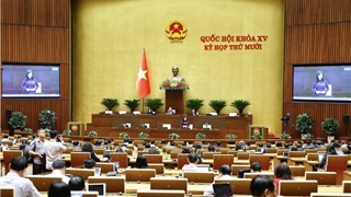  Ngày 11/11, Quốc hội tiếp tục thảo luận các dự án luật 