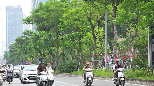  Nhiều đường phố Hà Nội như được khoác áo mới vì được phủ xanh dải phân cách 