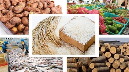 Nông sản Việt cần xử lý nhiều vấn đề kiểm soát chất lượng hàng hóa