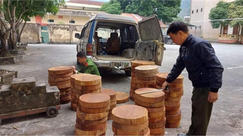 Hà Giang: Mật phục bắt giữ xe ô tô vận chuyển 104 thớt gỗ nghiến trái phép