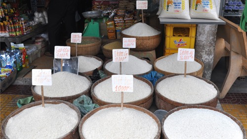 Bảng giá gạo sạch tiêu dùng tháng 12/2015