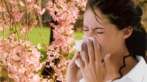 Bệnh mùa xuân: Tìm hiểu và phòng tránh bệnh thường gặp vào mùa xuân