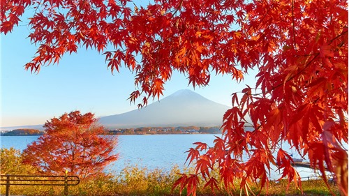 Những điểm du lịch tuyệt đẹp của Nhật Bản khi vào thu