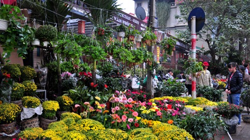 Các chợ hoa tết truyền thống nổi tiếng nhất ở Hà Nội