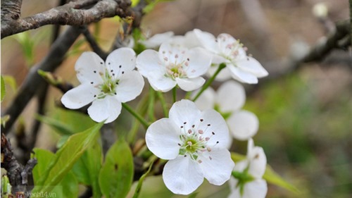 Top 3 chàng giáp năm 2018 lập nghiệp dễ dàng thành công, tiền đồ vô lượng