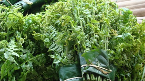 Các loại rau trường thọ được thế giới ca ngợi có nhan nhản ở Việt Nam