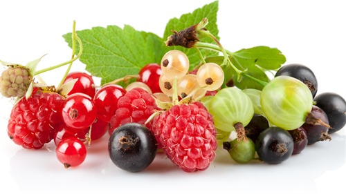 Tránh xa các loại hoa quả dễ gây ngộ độc cho bé