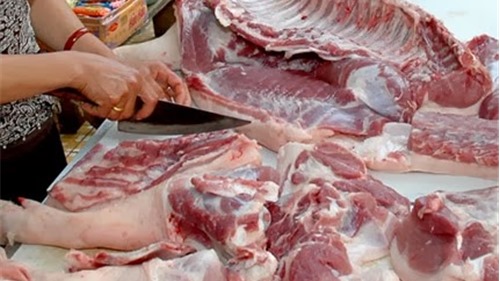 100% mẫu thịt gia súc, gia cầm nhiễm vi khuẩn gây hại đường ruột