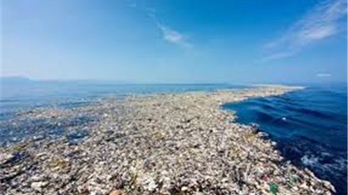 Thái Bình Dương đang ngập ngụa trong đảo rác của nhân loại