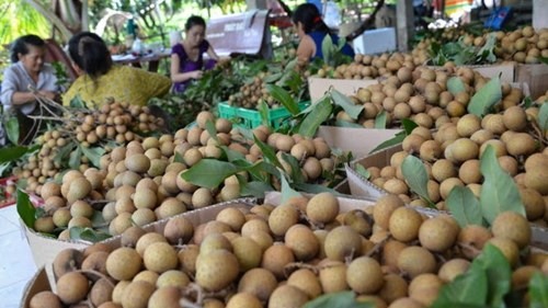 Chỉ có 5 loại trái cây tươi của Việt Nam xuất khẩu vào Mỹ