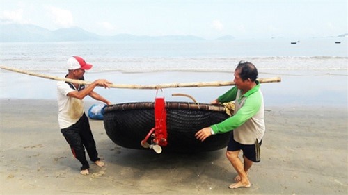 Đà Nẵng: Không còn tình trạng cá chết dạt vào bờ biển