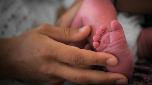 Hiếm gặp: Bé gái đầu tiên ra đời nhờ phương pháp cấy ghép tử cung từ người chết