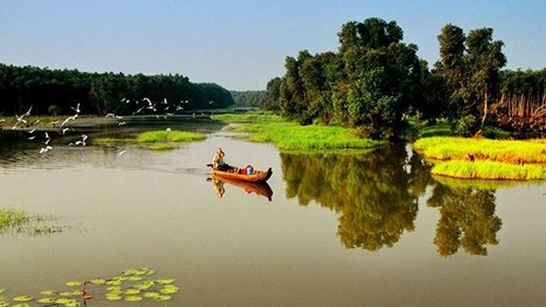 Giải pháp tăng cường liên kết vùng Đồng bằng sông Cửu Long