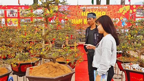 Hà Nội: Tưng bừng sắc xuân tại hội chợ hoa quận Nam Từ Liêm