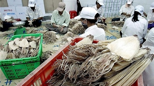 Năm 2018: Xuất khẩu mực, bạch tuộc của Việt Nam tăng hơn 8%