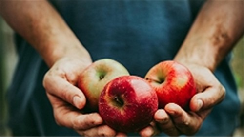 7 lý do bạn nên ăn táo mỗi ngày