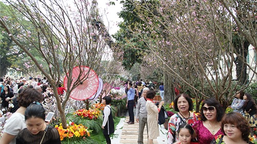 Chen chân tham dự lễ hội hoa anh đào 2018