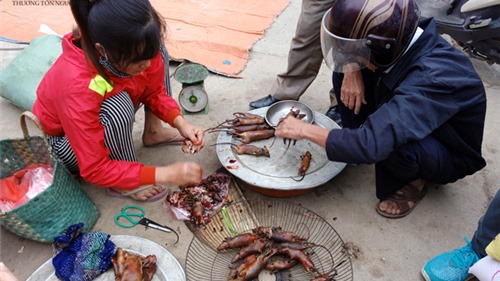 Thịt chuột đồng – món ăn kinh dị với nhiều người nhưng đắt hơn thịt gà ở Hà Nội