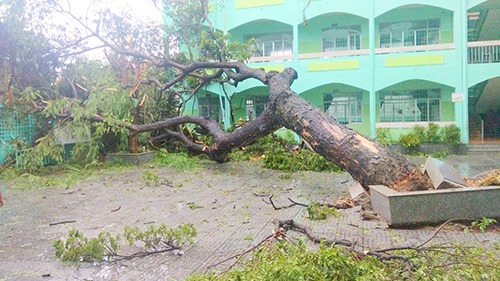 Thành phố Hồ Chí Minh và các tỉnh Nam Bộ đang gồng mình chống bão số 9