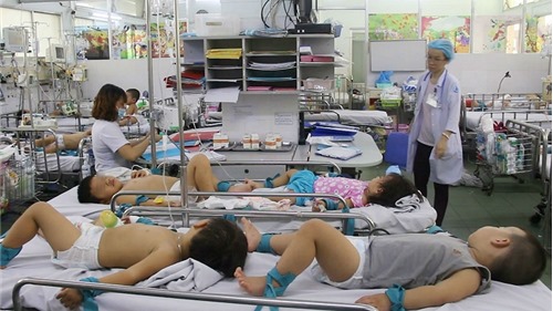 TP. Hồ Chí Minh: Số ca mắc sốt xuất huyết tăng gần 250%, chưa có dấu hiệu "hạ nhiệt"