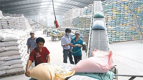 Iraq mua hơn 100.000 tấn gạo của Việt Nam qua thỏa thuận trực tiếp