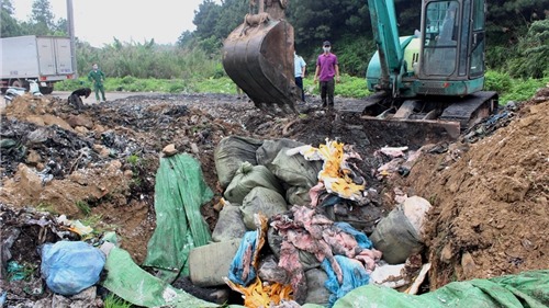 Quảng Ninh: Bắt giữ và buộc tiêu hủy gần 2 tấn nầm lợn nhập lậu