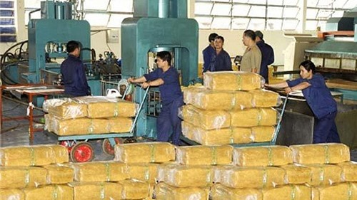 Xuất khẩu cao su tăng mạnh về chất lượng và giá trị