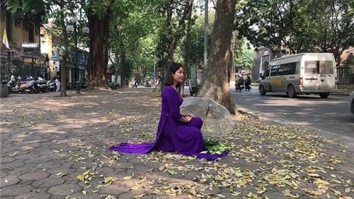 Những con phố "mùa lá rụng" đẹp mê hồn ở Hà Nội