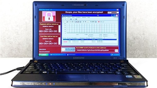 Chiếc laptop 2008 được bán với giá hơn 31 tỉ nhờ nhiễm 6 loại virus