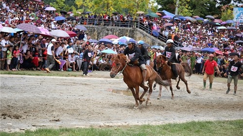 Lần đầu tiên, lễ hội đua ngựa truyền thống vùng cao được tổ chức tại Fansipan