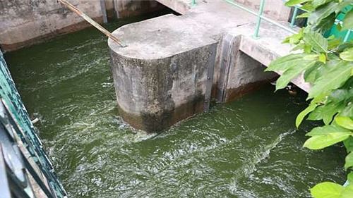 Đề xuất chi 150 tỉ đồng để dẫn nước sông Hồng làm sạch sông Tô Lịch